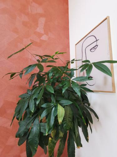 Apartamento Pink Pigeon