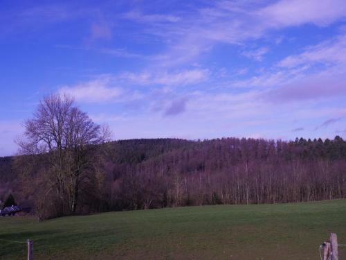 Scenic Holiday Home In Aywaille With Jacuzzi, Barbeque
