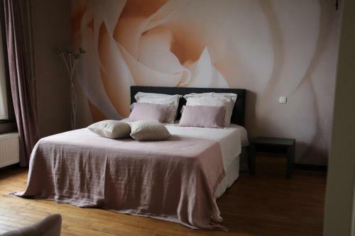 B&B Het Doctershoes