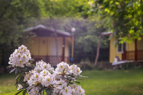 23 Persons Bungalow In Nice Forest