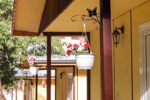 Cosy Bungalow In A Lovely Village