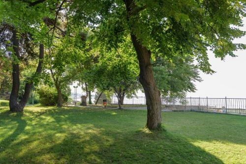 Oasis Park Hotel All Inclusive Beachfront By Asteri Hotels