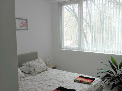 Apartamento ???????? ??????????