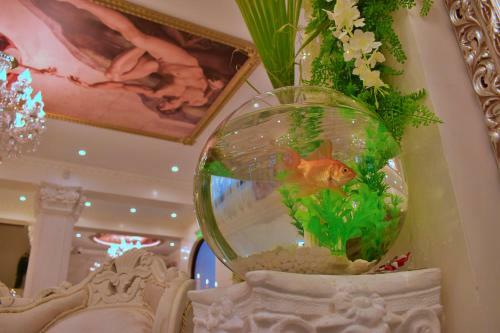 Hotel Imperia