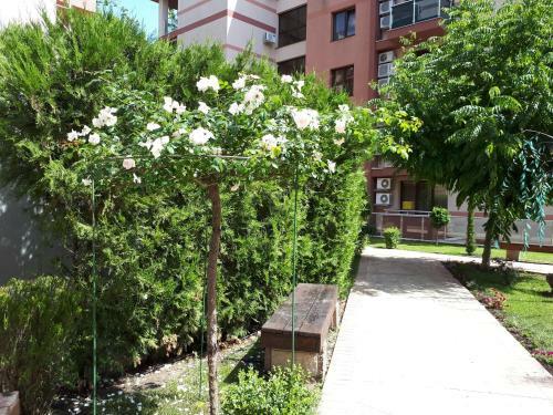 Hotel Menada Lux - Tarsis