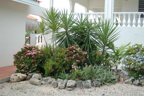 Villa Lunt Bonaire