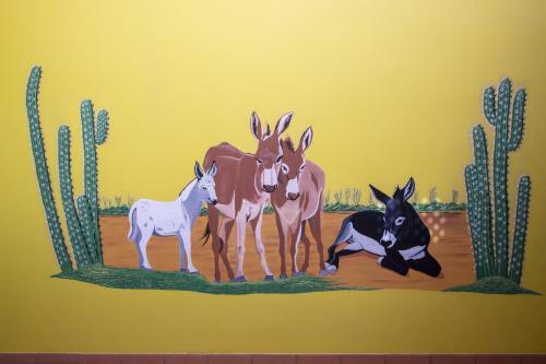 Apartment Donkey At Windsock Beach