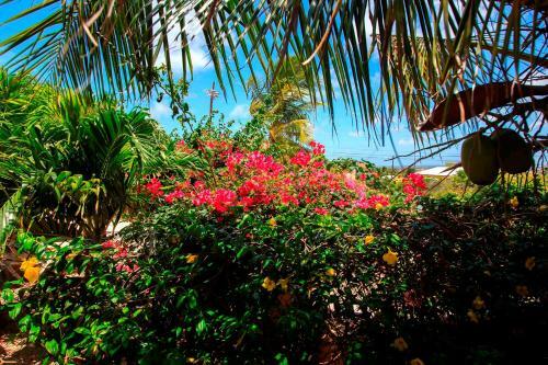 Hostal Goood Resort