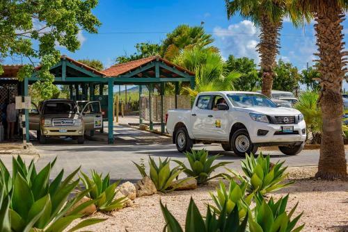 Aparthotel Buddy Dive Resort
