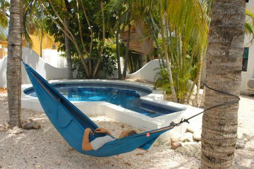Bed & Breakfast Bnbbonaire Near The Ocean