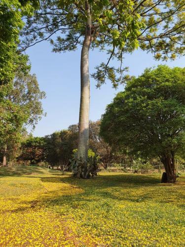 Fazenda Santa Clementina