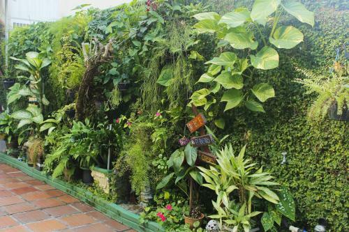 Hostal Hotel Paran� Bc