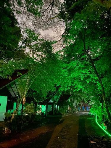 Reservamazon Forest Hotel