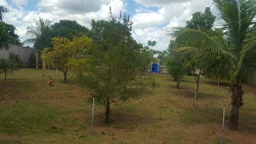 Bed & Breakfast Suites Na Ch�cara - Espa�o Amplo E Arejado Dentro Da Cidade