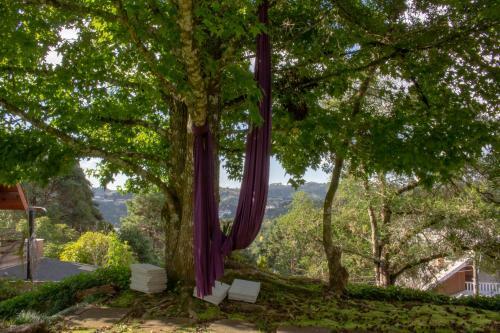 Hostal Casa Bicho Pregui�a Village