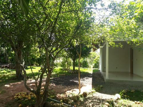 Hostal Su�te Da Floresta
