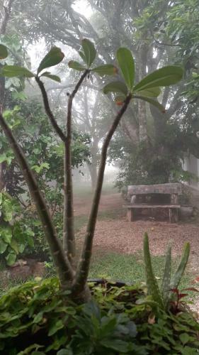 Hostal Su�te Da Floresta