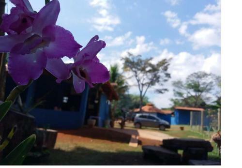 Hostel Jardim Da Mata
