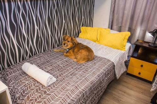Apartamento All You Need - 608