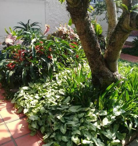 Hostel Nossa Casa