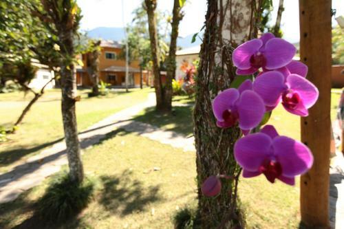 Hostal Pousada Das Orquideas20