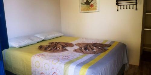 Hostal Pousada Lavramor
