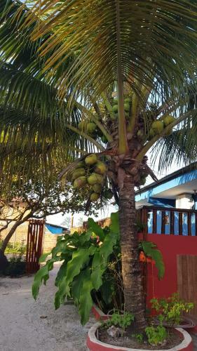 Hostal Casas Barra Sol