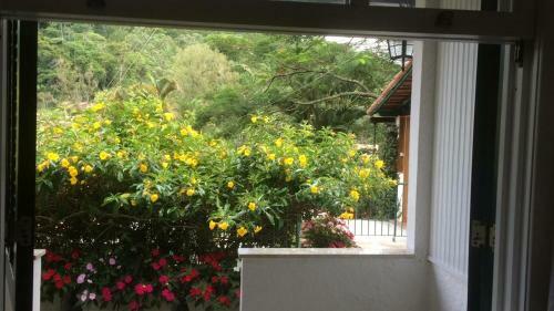 Hostal Pousada Jardim Secreto