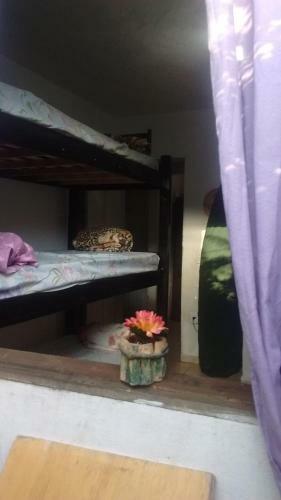 Cai�ara Style Hostel