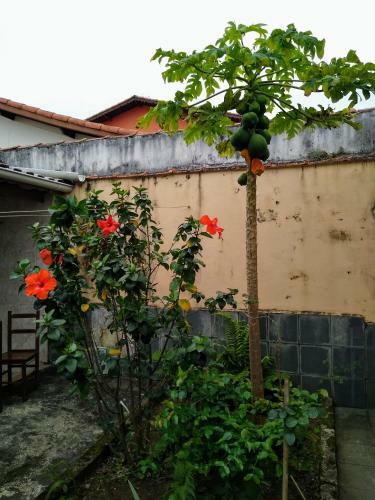 A Casa De Praia-peru�be