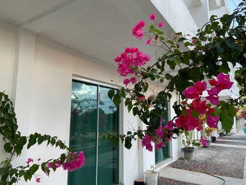 Hostal Solar Teixeira Flats