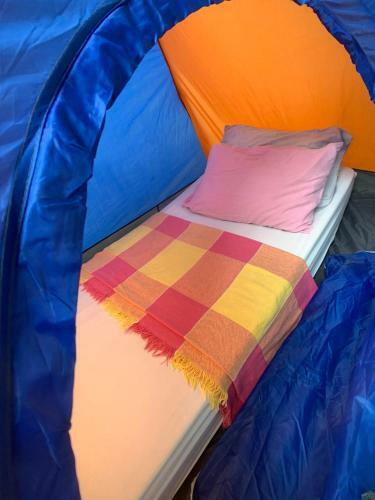 Camping Debaixo Do P� De Manga