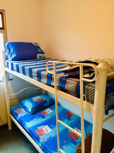 Bed & Breakfast Planet Hostel