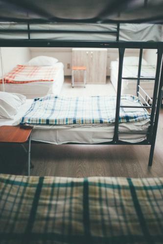 Roofhostel