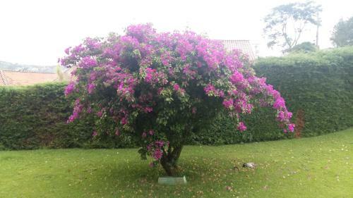 Casa Da V�