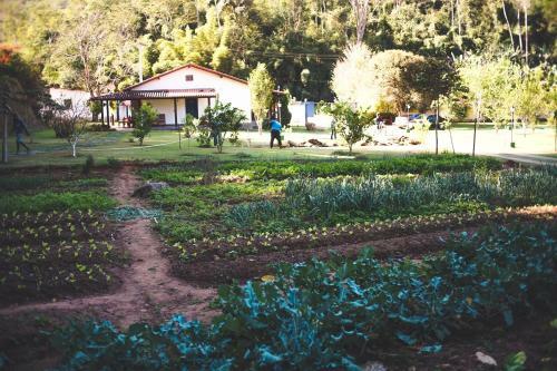 Hotel Eco Resort Bela Riba