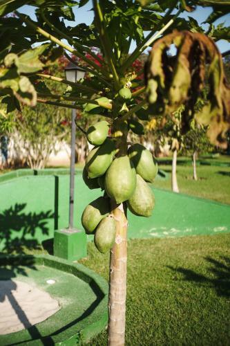 Hotel Eco Resort Bela Riba