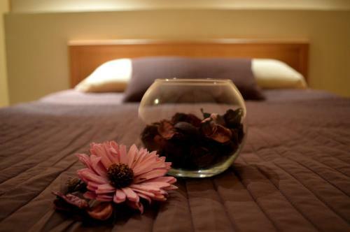 Bed & Breakfast Pushkin Hotel