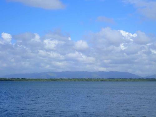 Mahogany At Bay's Edge