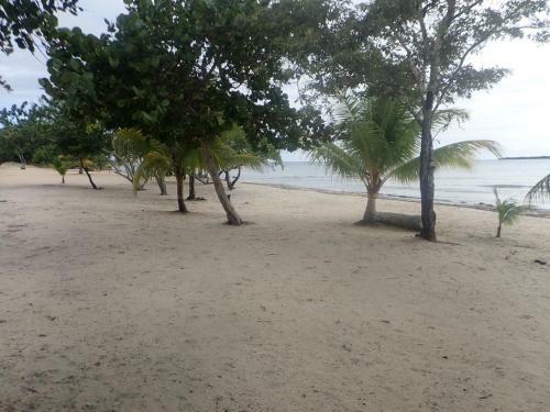 Mahogany At Bay's Edge