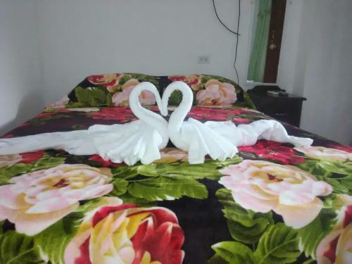 Hostal Matus Guest House