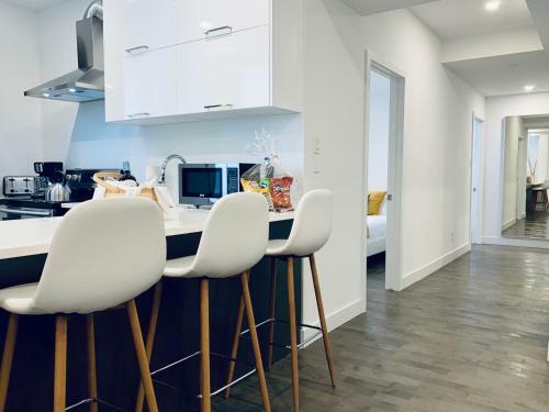 Quiet Fully Renewed Apartment Plateau Mont-royal