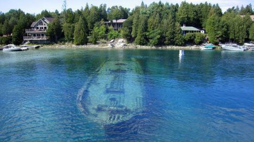 Hotel Big Tub Harbour Resort