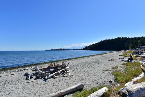Arbutus Hill
