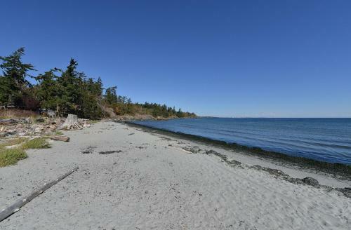 Arbutus Hill