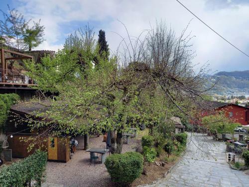 Apartamento La Casa Di Arnaldo La Cuccia
