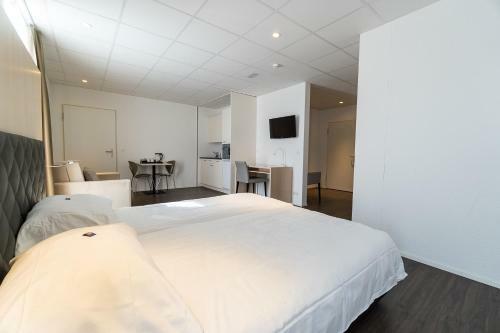 Aparthotel Hine Adon Bern Airport