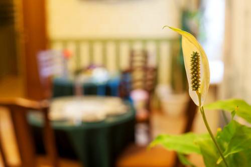 Bed & Breakfast Anturage Hotel
