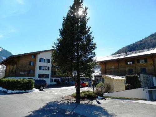 Apartment La Sarine 13