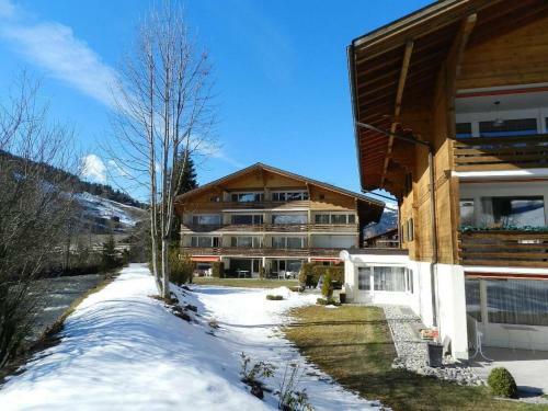 Apartment La Sarine 13